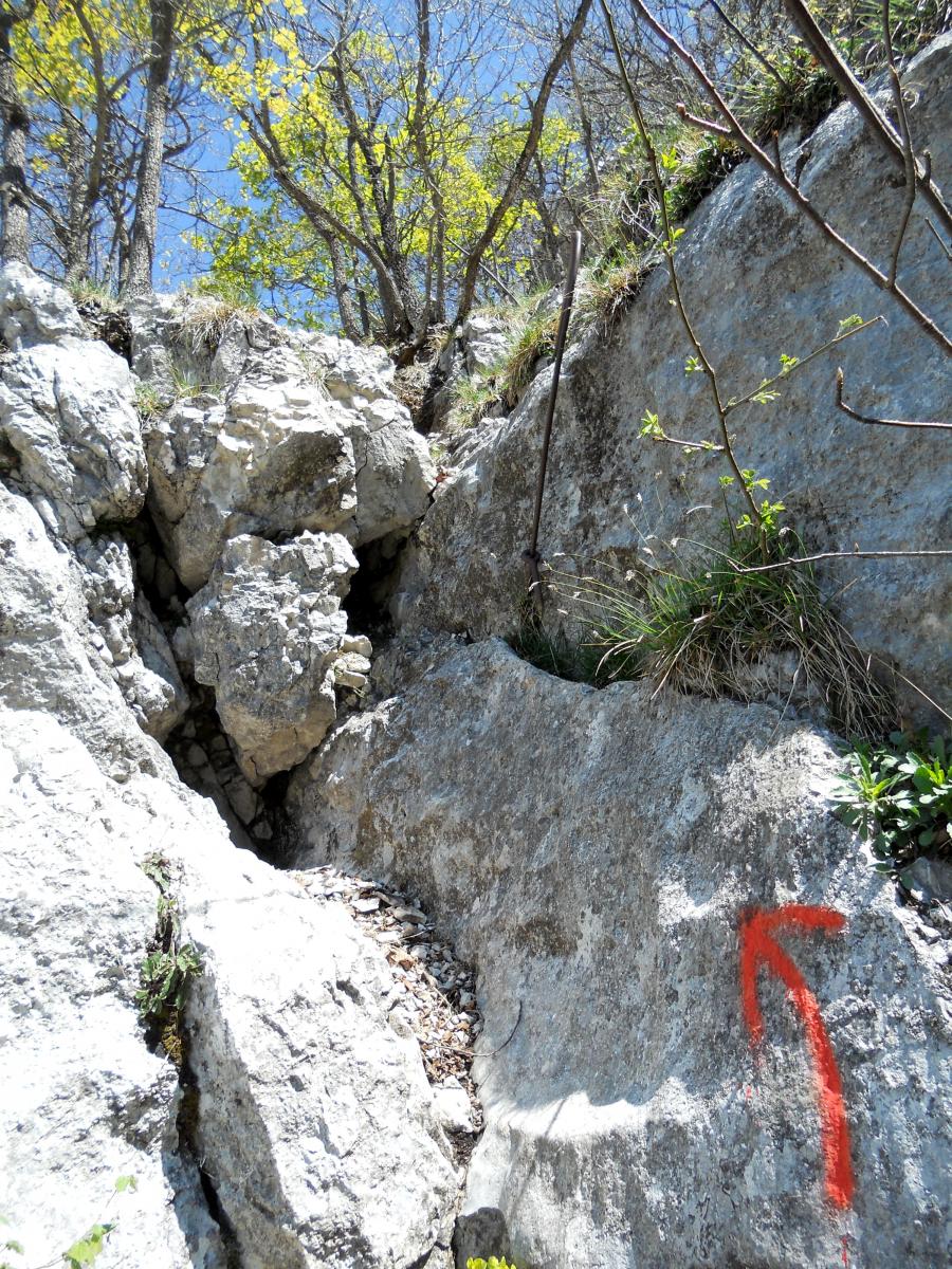 Randonnée au Salève : découverte du sentier des Buis